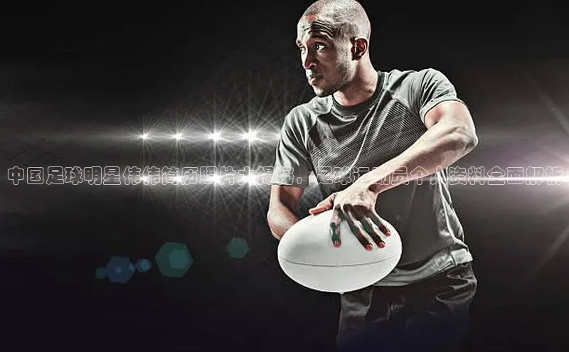 星空综合体育全站app网易中国足球明星伟伟简历照片大揭秘，足球运动员个人资料全面解析