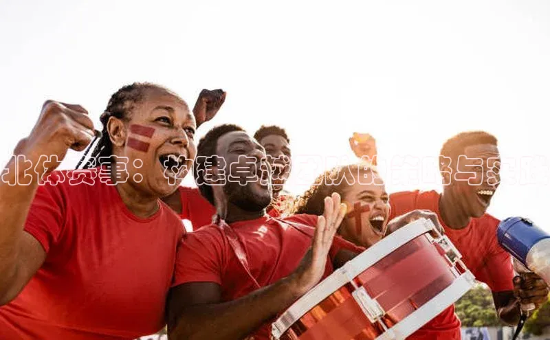 星空·综合体育华扬联众北体赛事：构建卓越团队的策略与实践