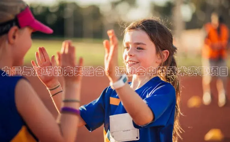 星空·综合体育华扬联众力量与技巧的完美融合：运动会中的武术赛事项目