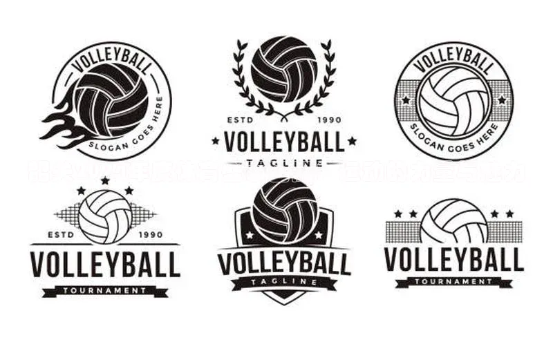 韶关2024年度体育盛事回顾：运动的力量与魅力