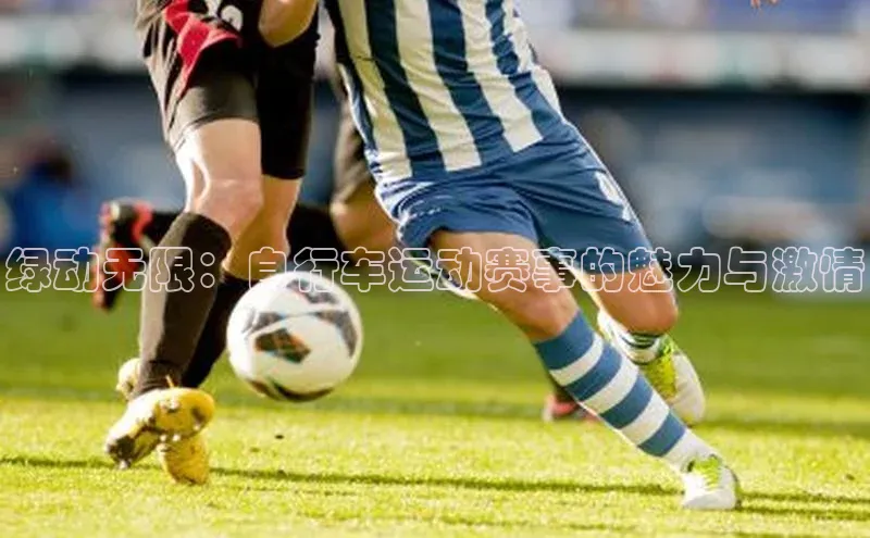 绿动无限：自行车运动赛事的魅力与激情