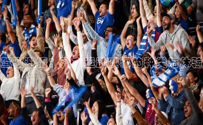 驾驭激情：汽车运动赛事的种类与体验