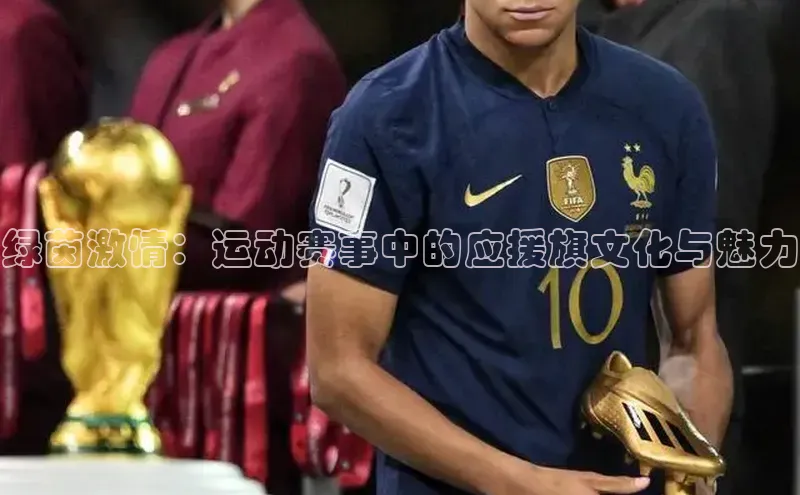 绿茵激情：运动赛事中的应援旗文化与魅力
