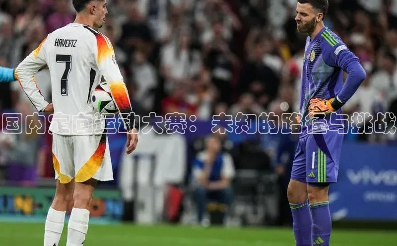 国内定向运动大赛：未知的路径与挑战