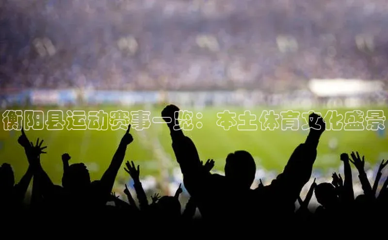 衡阳县运动赛事一览：本土体育文化盛景