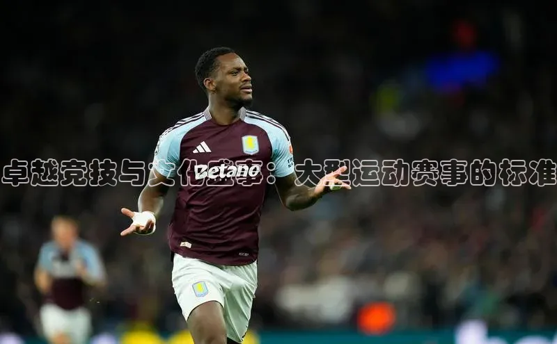 卓越竞技与文化盛事：大型运动赛事的标准