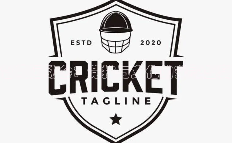 省级运动会：竞技与文化的交融盛宴