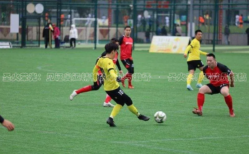 圣火荣光：见证奥运精神的卓越与激情——圣火赛事运动员特稿