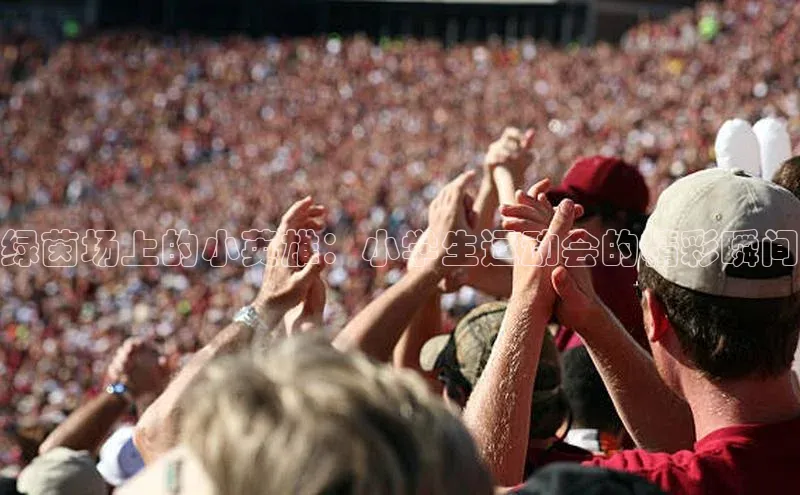 绿茵场上的小英雄：小学生运动会的精彩瞬间