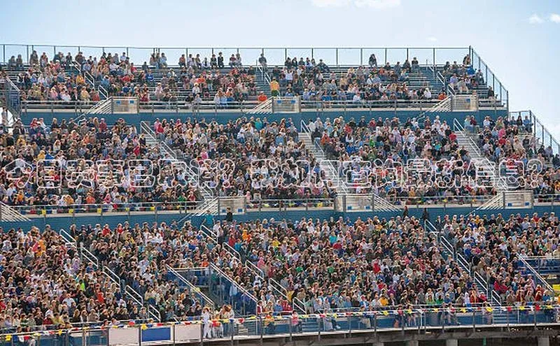 今日赛事已取消？我如何查询最新信息？