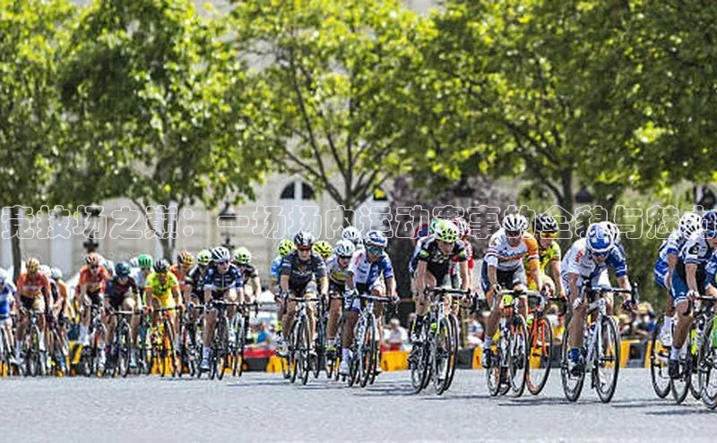 竞技场之巅：一场场内运动赛事的全貌与魅力