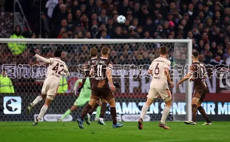 厦门魅力：最新运动赛事主播阵容