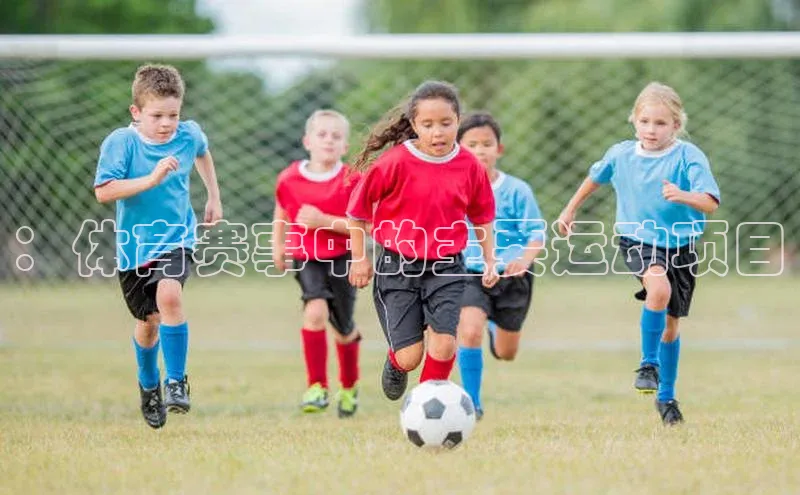 ：体育赛事中的主要运动项目