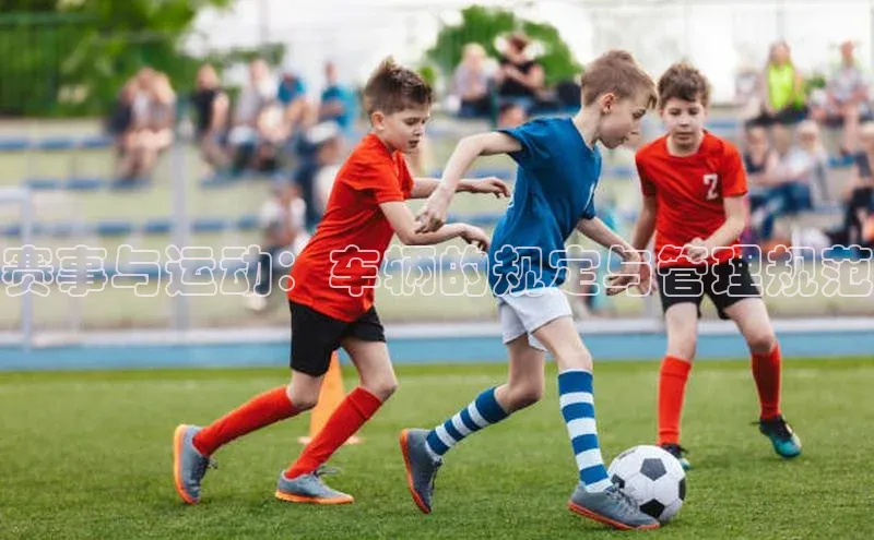 赛事与运动：车辆的规定与管理规范