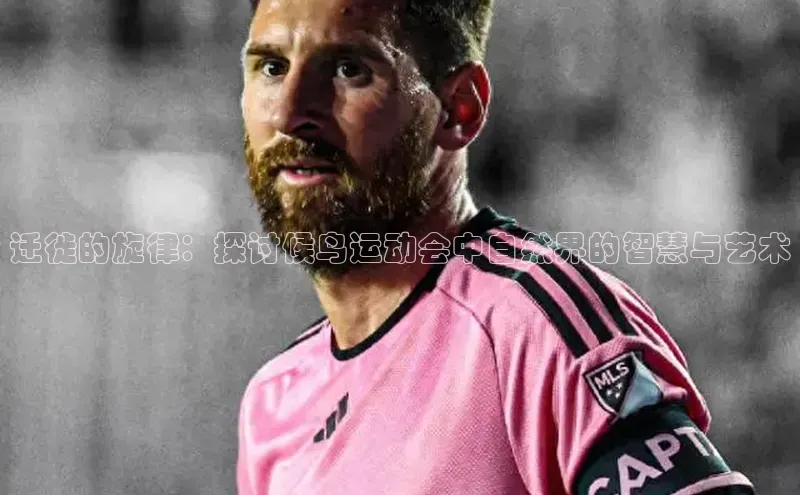 星空综合体育全站app