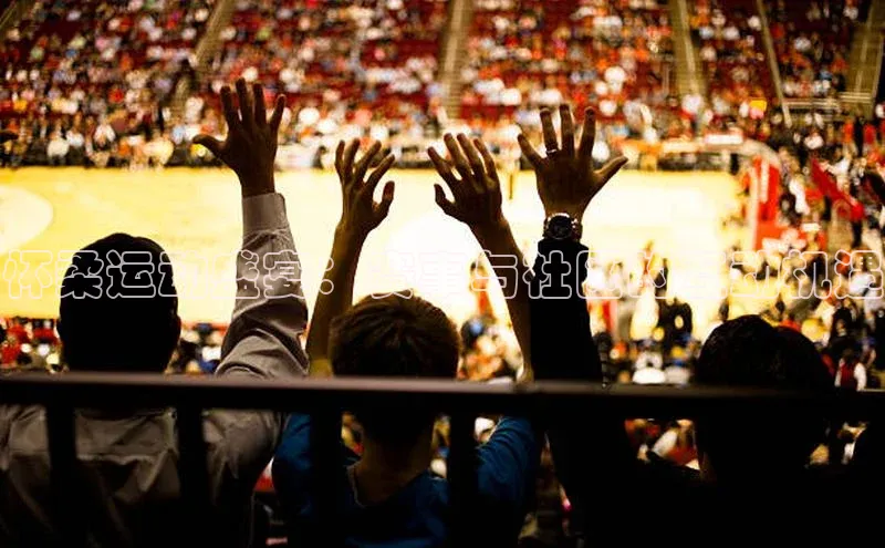 星空·体育综合APP下载官网