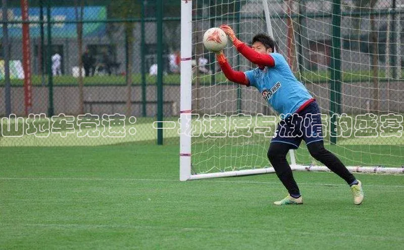 星空手机网页版登录入口