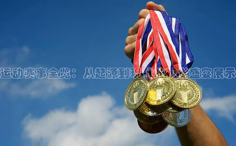 星空综合(中国)官方网站官网